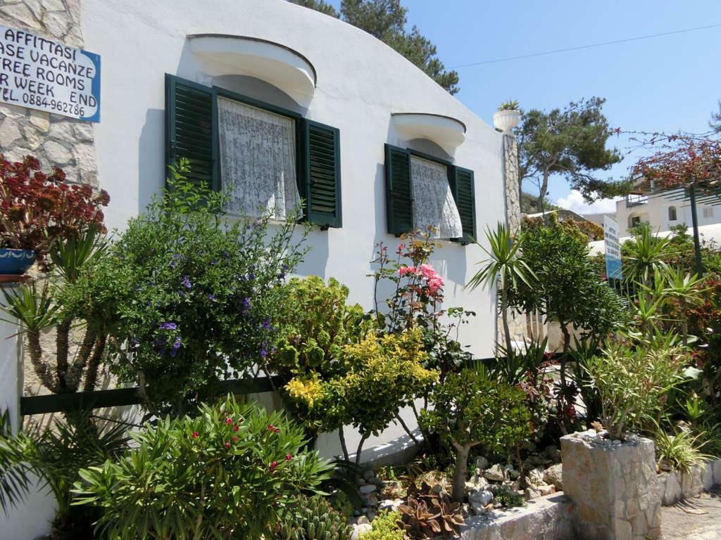 Blu Marine Casa A 10Mt Dalla Spiaggia Holiday home *