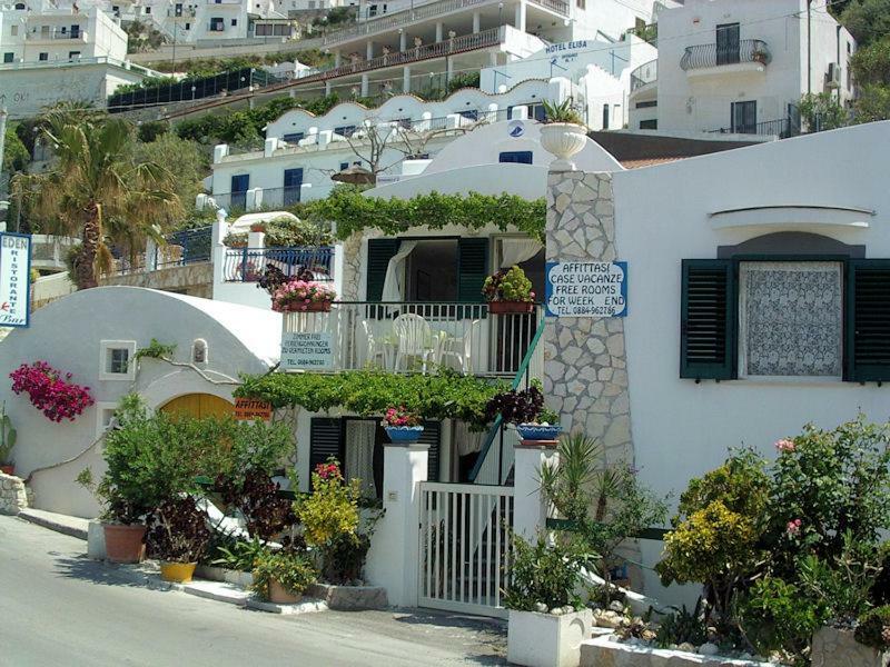 Blu Marine Casa A 10Mt Dalla Spiaggia * Peschici